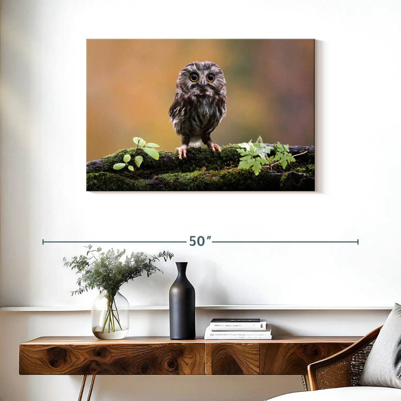 Brampt Charming Little Owl, 24" H x 36" W