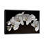 Orchids - Floater Frame Print on Canvas-214817172-214817173