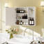 Rangement mural pour armoire à pharmacie de salle de bain avec porte miroir simple-1529369089