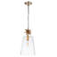 The Neo 1 Light Pendant