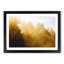 Gold Forest - Picture Frame Graphic Art Print-56713054-56713055