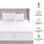 Surmatelas en mousse viscoélastique 3 "Jillian-1475519289