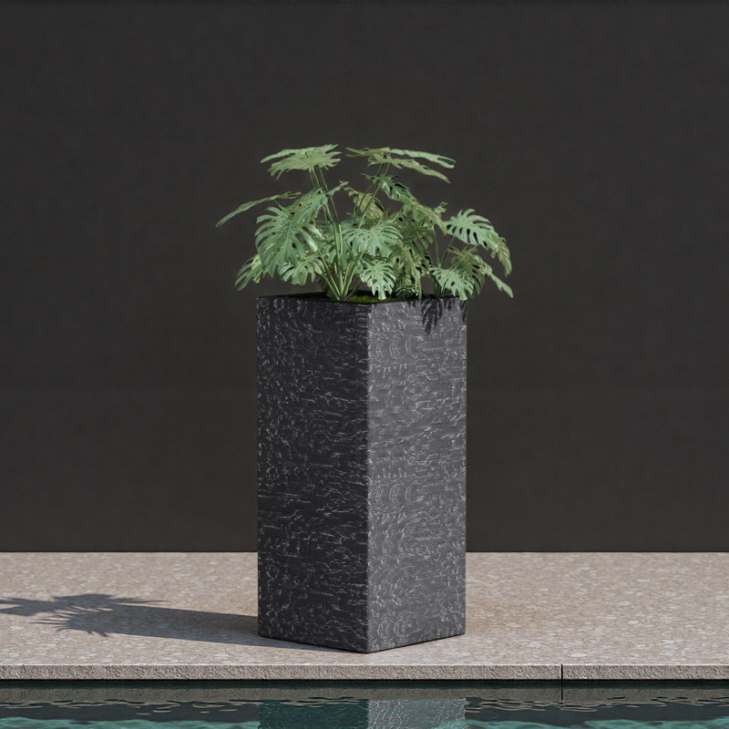 MGO PLANT