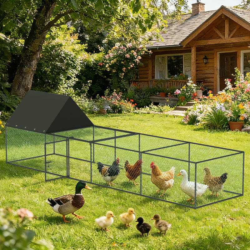 Chicken Run
