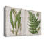 «Greenhouse Fern» - Toile tendue avec châssis de qualité supérieure - Prêt à être accroché-108969812