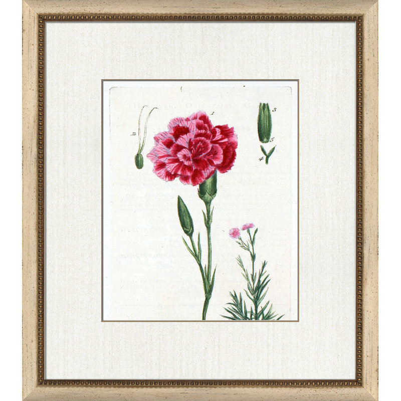 Botanical La Flore I Painting