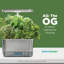AeroGarden Harvest Elite Stainless Steel