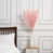 Rose est en rupture de stock