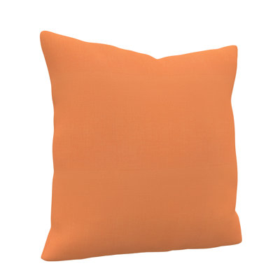 Indoor/Outdoor Throw Pillow