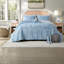 Striped and Paisley Comforter Set