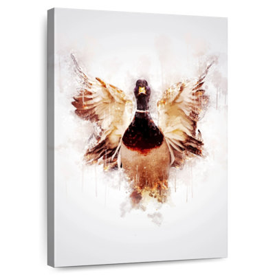 Brampt Drake Duck