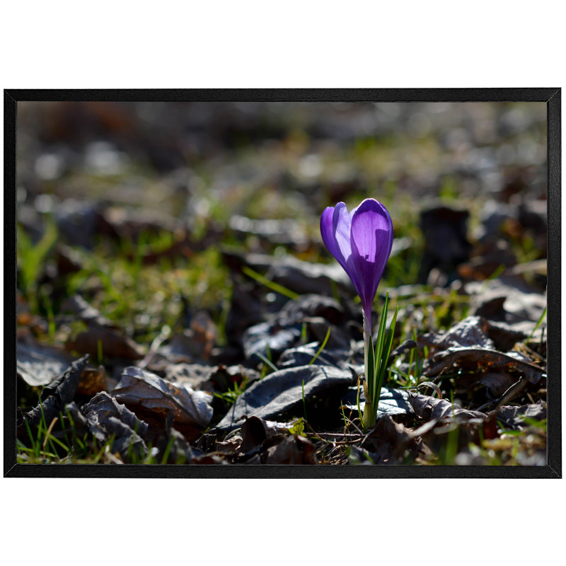 Jeni Single Picture Frame Wall Art, 76cm H x 114cm W x 4cm D, Black Framed