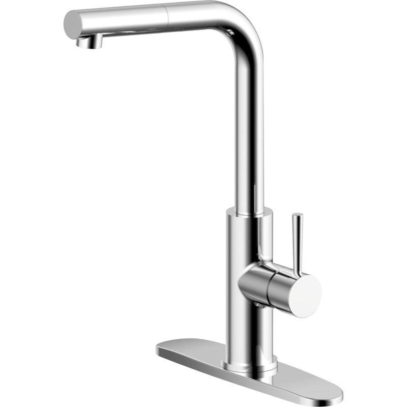 CMI Casmir Pull Out Kitchen Faucet, Chrome