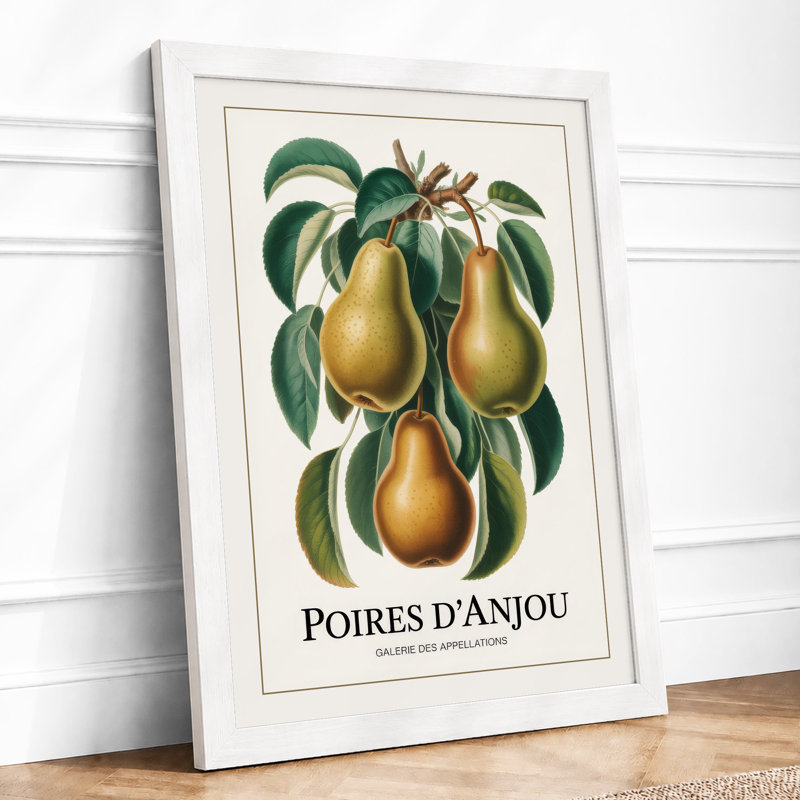 Poires D'Anjou Botanical - Print, A1 - 84.1 x 59.4 cm, White