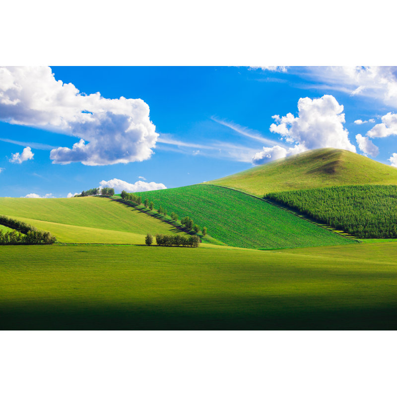 Summer Prairie by Fzant - Wrapped Canvas Print, 20cm H x 30cm W