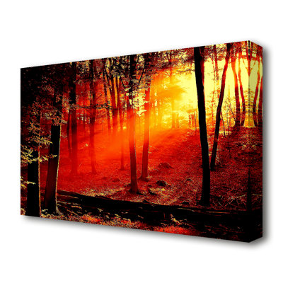 Red Woodland Beam Landscape - Wrapped Canvas Print