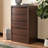 Fere 30" W 5-Drawer Dresser-241673751