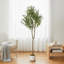 Arbre de 4,2 pi avec olivier artificiel réaliste pour la maison, le salon, le bureau et le vestibule