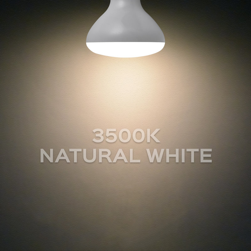 9 Watt (65 Watt Equivalent), BR30 LED, Dimmable Light Bulb, E26/Medium (Standard) Base, 3500K