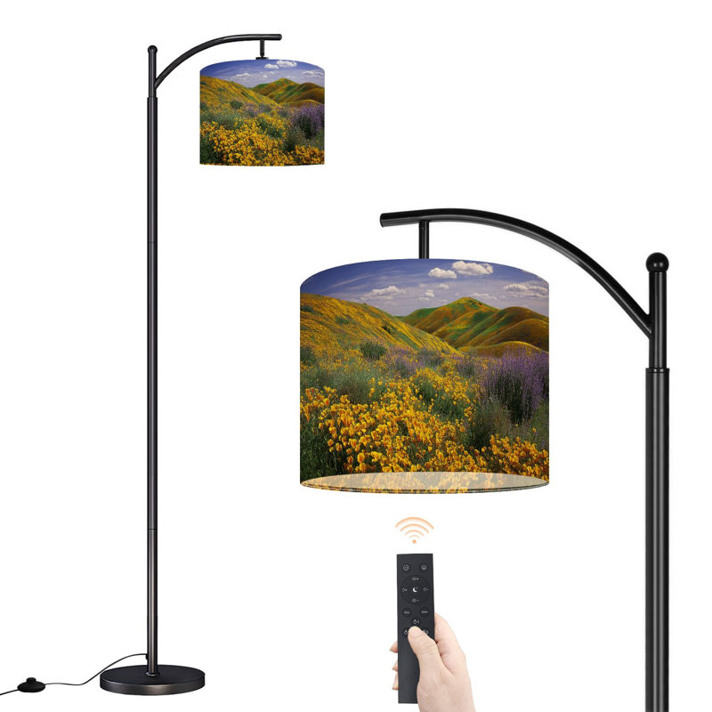 Lampe sur pied à arc avec abat-jour réglable Champ doré à côté de Hills Lampe sur pied 3 températures à intensité variable avec interrupteur au pied pour la chambre à coucher