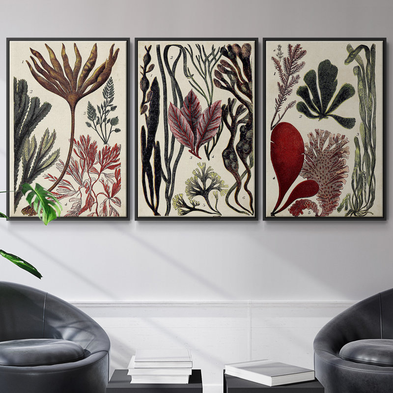 Coral and Seaweed Montage I - Ensemble de 3 reproductions de cadres photo sur toile, Noir, H 36 po x l 72 po