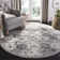 Newhouse Oriental Silver/Gray Area Rug