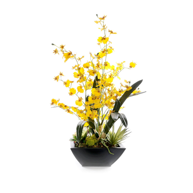 Yellow Oncidium Orchid Flower Arrangement in Zinc Metal Pot