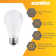 12 Watt (75 Watt Equivalent), A19 LED Non-Dimmable Light Bulb, Daylight E26/Medium (Standard) Base
