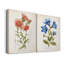«Botanical I», ensemble de 2 reproductions d'art-272082550-271774482-272082556