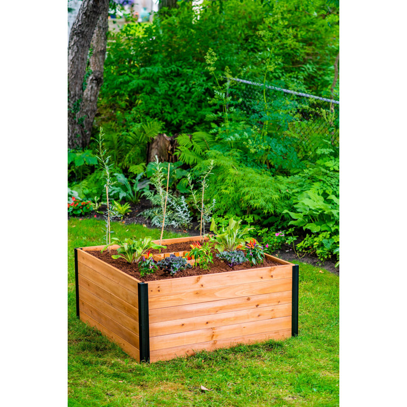 Lit de jardin surélevé en bois Mezza, H 22 po x l 48 po x P 48 po