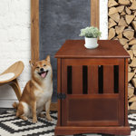 Mendosa Wood Furniture Style Crate with 1 Door