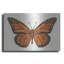 Art mural en métal Rosalind Wheeler «Monarch Butterfly» par Andrea Strongwater-1295048492