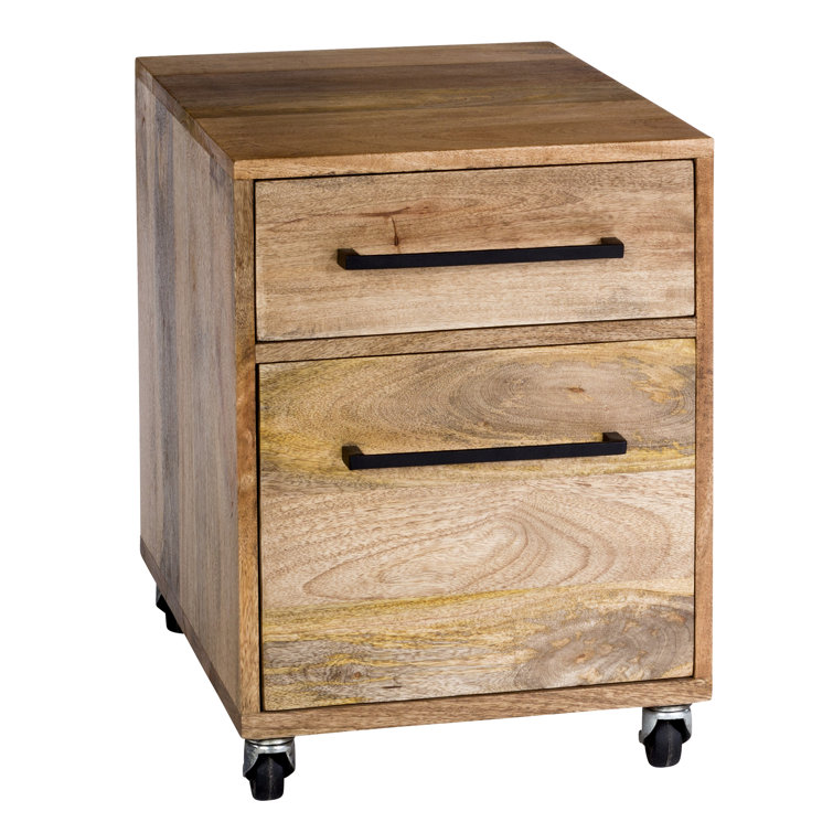 Colvin 2-Drawers Mobile Vertical File