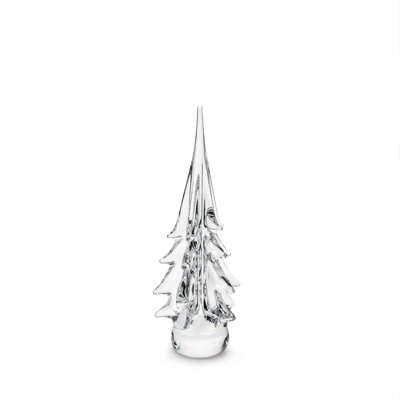 Spruce Evergreen