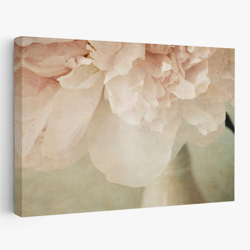 Plantes, fleurs, pivoines rêveuses, H 40 po x l 60 po