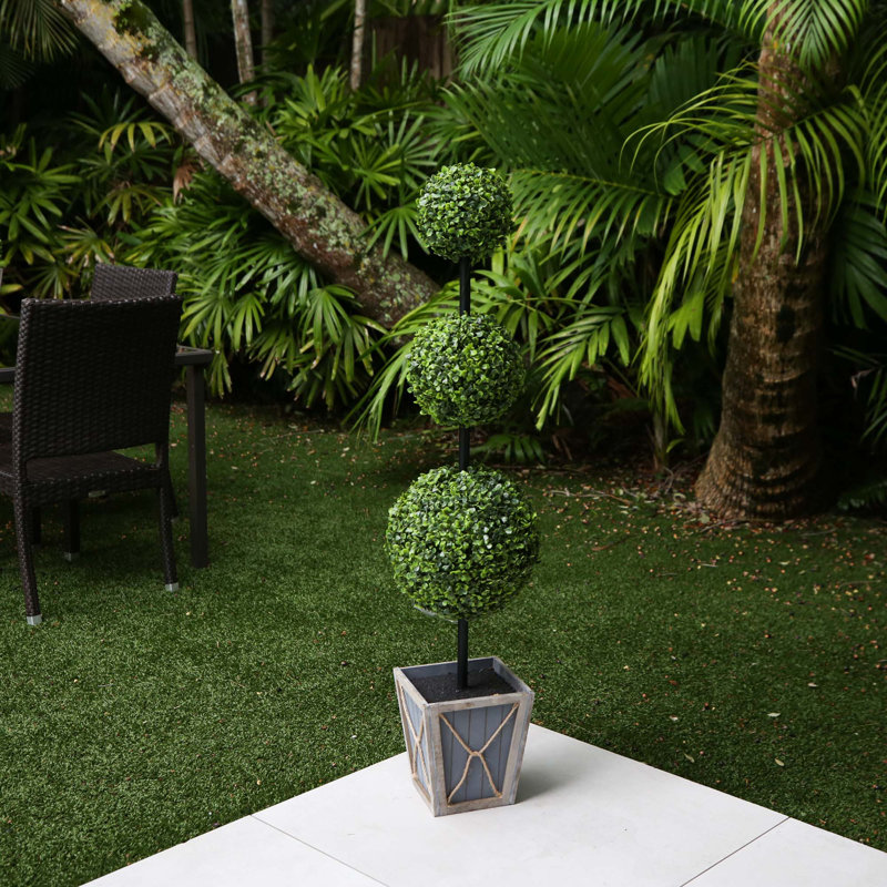 Plante de 45 po