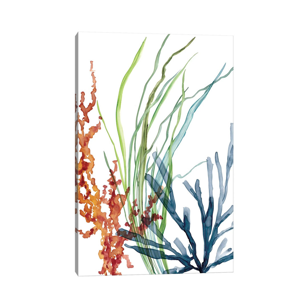 Print on Canvas