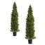 152.4cm Faux Bonsai Topiary in Pot
