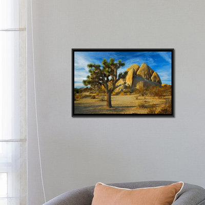 «Joshua Tree & Inselberg», reproduction de photo sur toile
