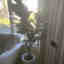 Photos des clients 1 de 1