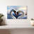 Brampt Swan Romance-107698421