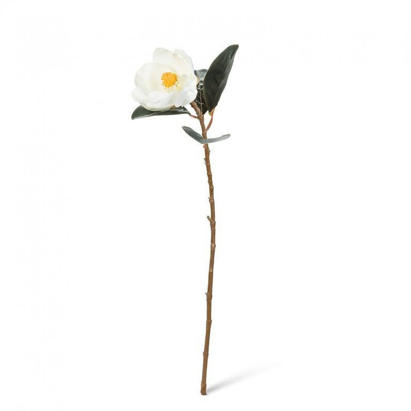 Fleur de magnolia blanc moyen