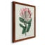 Protea N13 - Peinture sur toile encadrée-267897840-267897610