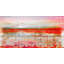 « dock oiseaux » par parvez taj,, impression sur toile tendue-11059999