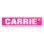 Carrie Street Sign Heavy Duty Plastic 4" X 18"