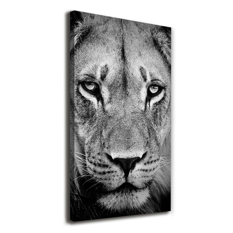 Portrait Of A Lion - Wrapped Canvas Print