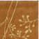 Soho Hand Tufted Wool Floral Rug
