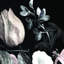 Floral Wallpaper-1004740517