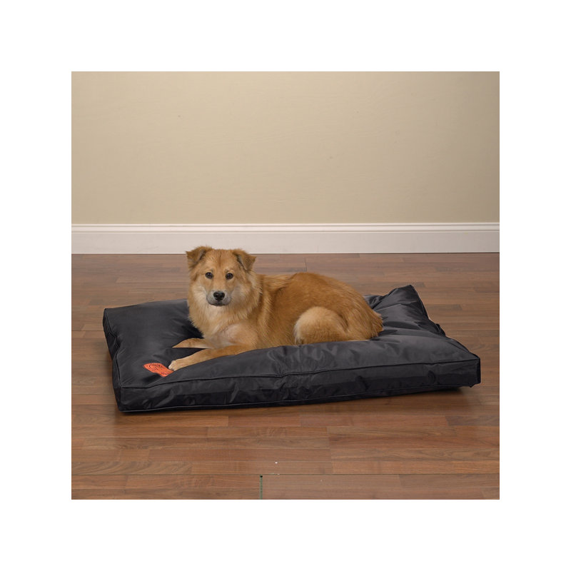 Tapis Rouleau, Moyen (l 36 po x p 23 po x H 2,5 po), Noir