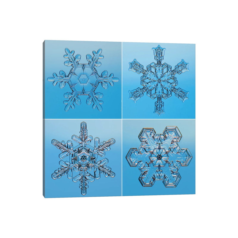 Snowflakes Seen Through Microscope by Steve Gettle - Wrapped Canvas Print, 66.04 cm H x 66.04 cm W x 3.175 cm D